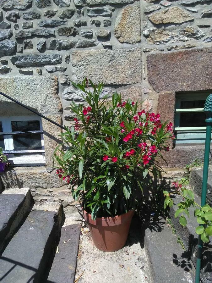 Le Refuge Des Alpes Mancelles Appartement Fresnay-sur-Sarthe Buitenkant foto